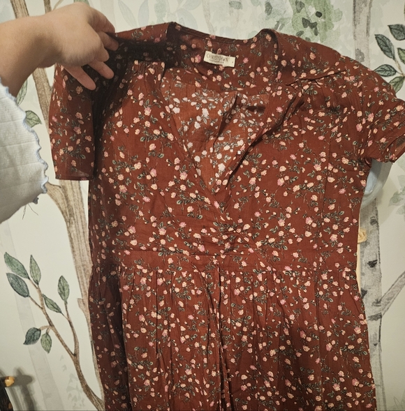 Dawn Dress in Rouge Rosette - Picture 3 of 6